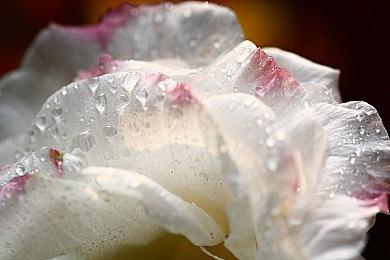 TGA2022：ARPG《驱灵者：新伊甸的幽灵》公开新预告 明年发售